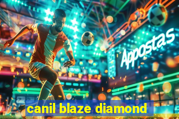 canil blaze diamond